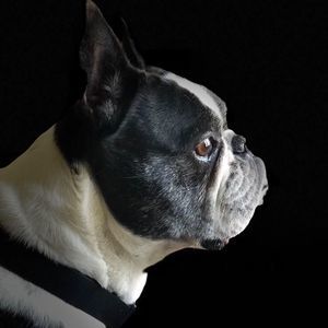 Meet your Posher, Tracey